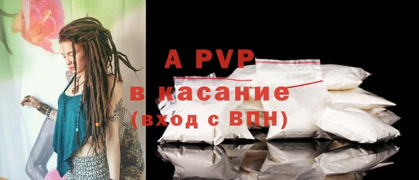 прущие грибы Наволоки