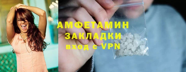 прущие грибы Наволоки