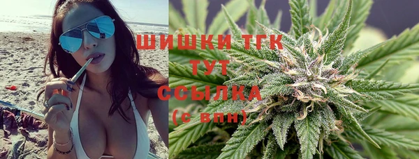 прущие грибы Наволоки
