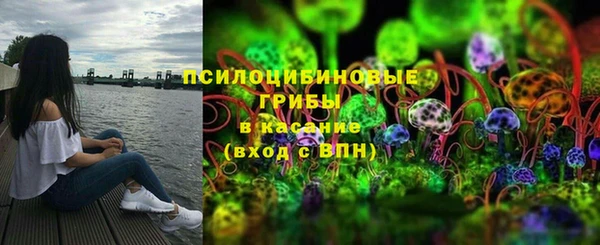 эйфоретик Надым