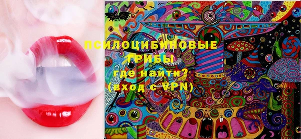 эйфоретик Надым